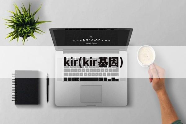 kir(kir基因)-第1张图片-