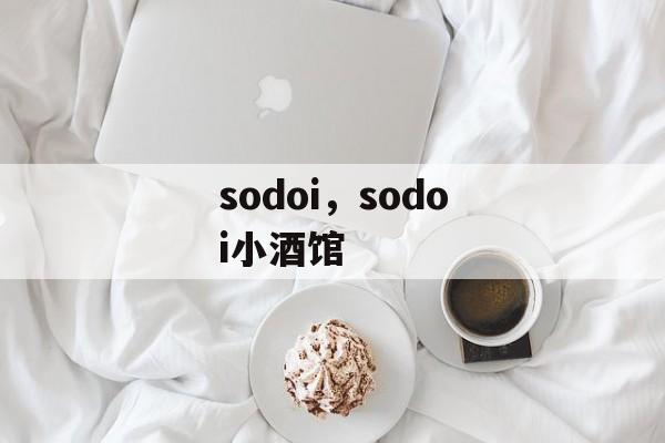 sodoi，sodoi小酒馆-第1张图片-