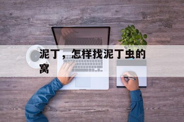 泥丁，怎样找泥丁虫的窝-第1张图片-