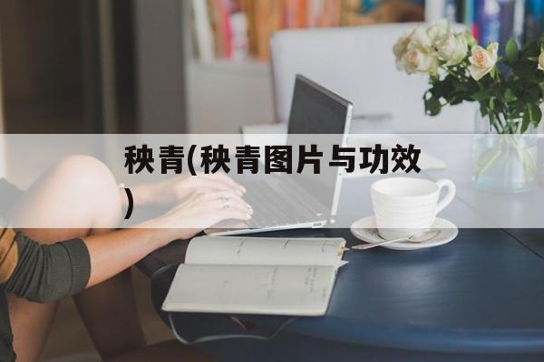 秧青(秧青图片与功效)-第1张图片-