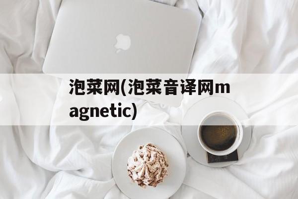 泡菜网(泡菜音译网magnetic)-第1张图片-