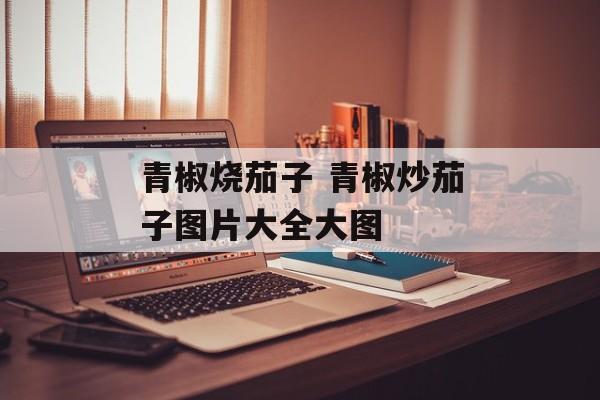 青椒烧茄子 青椒炒茄子图片大全大图-第1张图片-