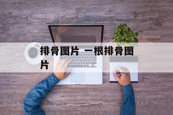 排骨图片 一根排骨图片-第1张图片-