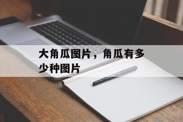 大角瓜图片，角瓜有多少种图片-第1张图片-