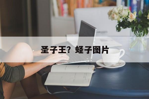 圣子王？蛏子图片-第1张图片-