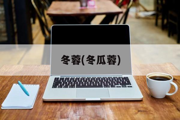 冬蓉(冬瓜蓉)-第1张图片-