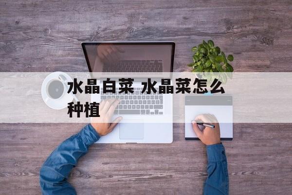 水晶白菜 水晶菜怎么种植-第1张图片-