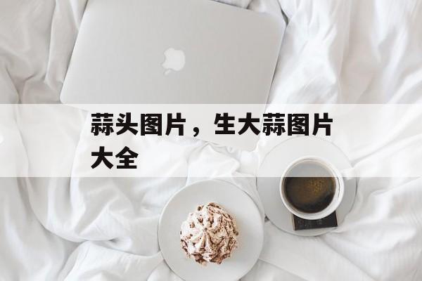 蒜头图片，生大蒜图片大全-第1张图片-