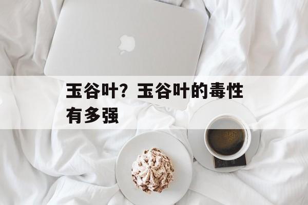 玉谷叶？玉谷叶的毒性有多强-第1张图片-