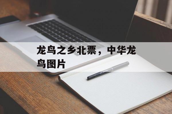 龙鸟之乡北票，中华龙鸟图片-第1张图片-