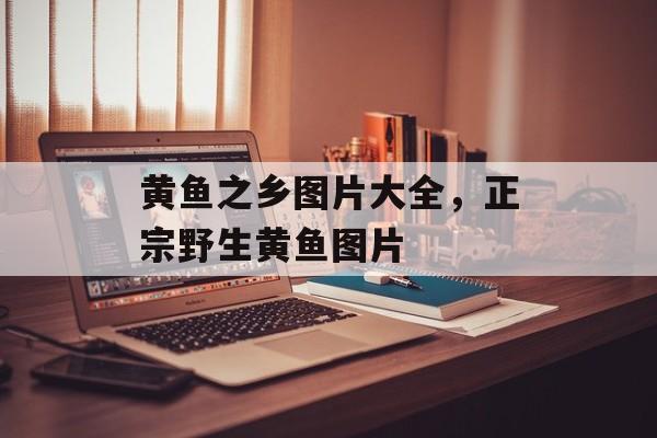 黄鱼之乡图片大全，正宗野生黄鱼图片-第1张图片-