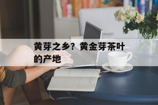 黄芽之乡？黄金芽茶叶的产地-第1张图片-