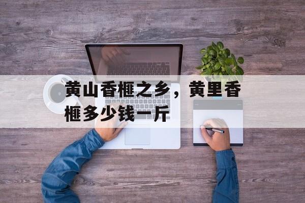 黄山香榧之乡，黄里香榧多少钱一斤-第1张图片-