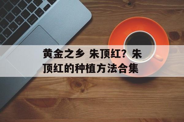 黄金之乡 朱顶红？朱顶红的种植方法合集-第1张图片-