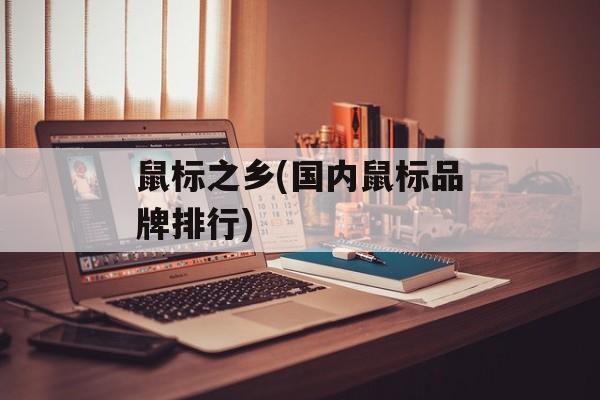鼠标之乡(国内鼠标品牌排行)-第1张图片-
