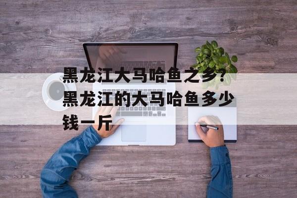 黑龙江大马哈鱼之乡？黑龙江的大马哈鱼多少钱一斤-第1张图片-