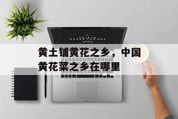 黄土铺黄花之乡，中国黄花菜之乡在哪里-第1张图片-