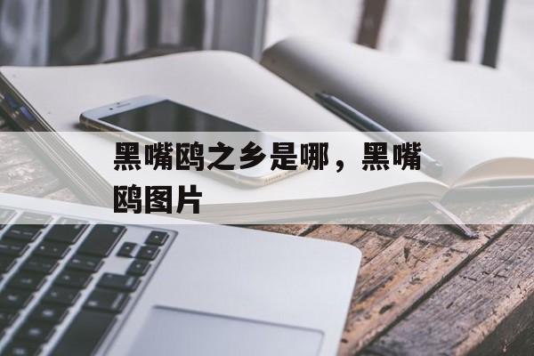黑嘴鸥之乡是哪，黑嘴鸥图片-第1张图片-