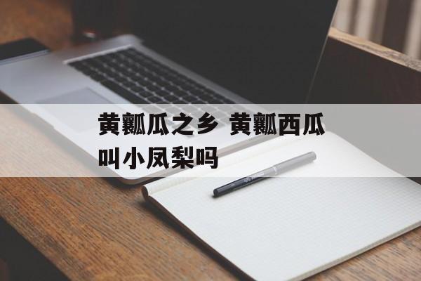 黄瓤瓜之乡 黄瓤西瓜叫小凤梨吗-第1张图片-