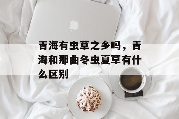 青海有虫草之乡吗，青海和那曲冬虫夏草有什么区别-第1张图片-