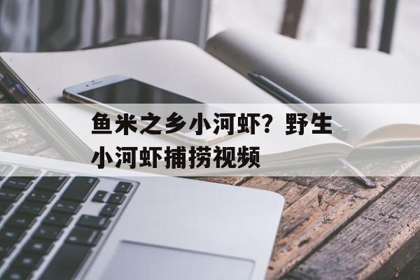 鱼米之乡小河虾？野生小河虾捕捞视频-第1张图片-