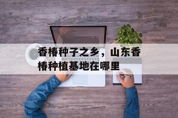 香椿种子之乡，山东香椿种植基地在哪里-第1张图片-