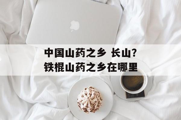 中国山药之乡 长山？铁棍山药之乡在哪里-第1张图片-