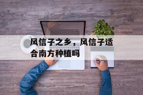 风信子之乡，风信子适合南方种植吗-第1张图片-