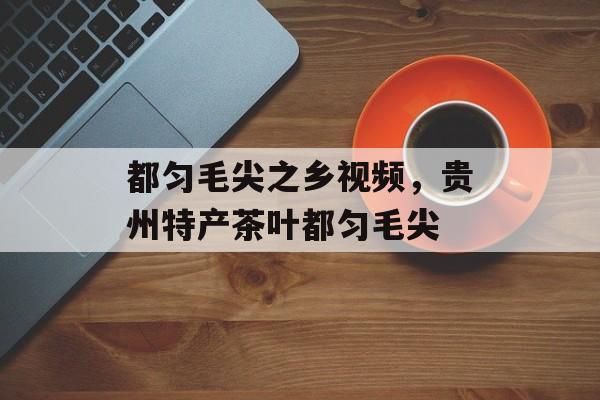 都匀毛尖之乡视频，贵州特产茶叶都匀毛尖-第1张图片-