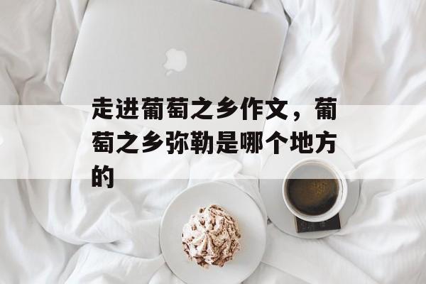 走进葡萄之乡作文，葡萄之乡弥勒是哪个地方的-第1张图片-