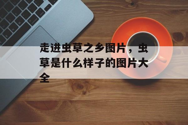 走进虫草之乡图片，虫草是什么样子的图片大全-第1张图片-