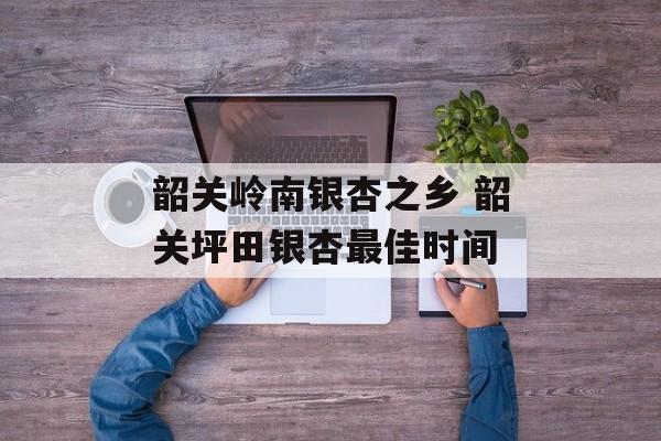 韶关岭南银杏之乡 韶关坪田银杏最佳时间-第1张图片-
