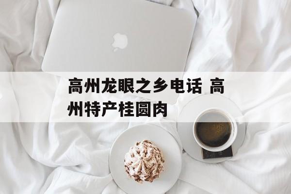 高州龙眼之乡电话 高州特产桂圆肉-第1张图片-