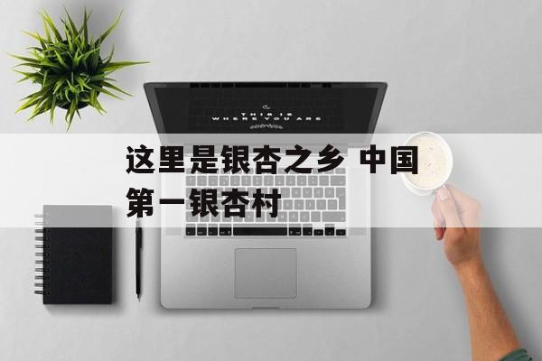 这里是银杏之乡 中国第一银杏村-第1张图片-