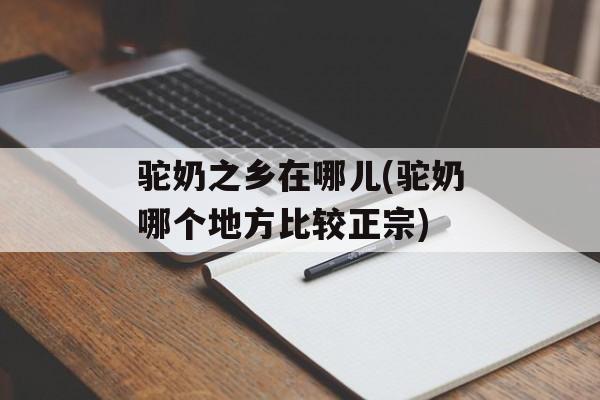 驼奶之乡在哪儿(驼奶哪个地方比较正宗)-第1张图片-