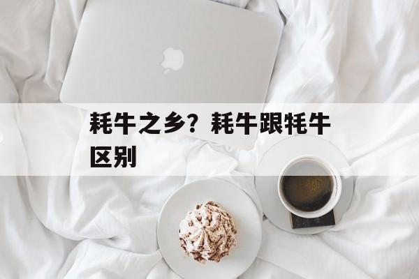 耗牛之乡？耗牛跟牦牛区别-第1张图片-