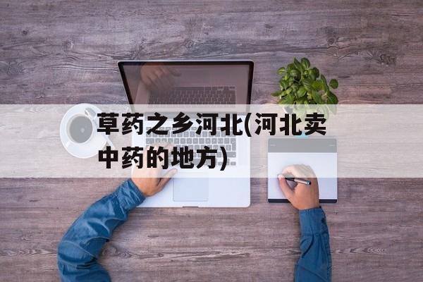 草药之乡河北(河北卖中药的地方)-第1张图片-