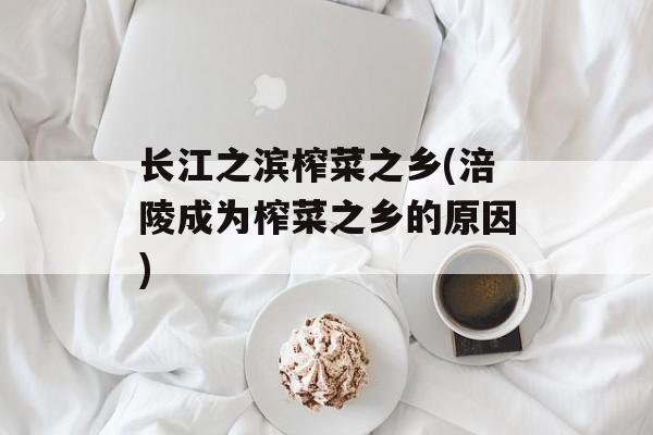 长江之滨榨菜之乡(涪陵成为榨菜之乡的原因)-第1张图片-