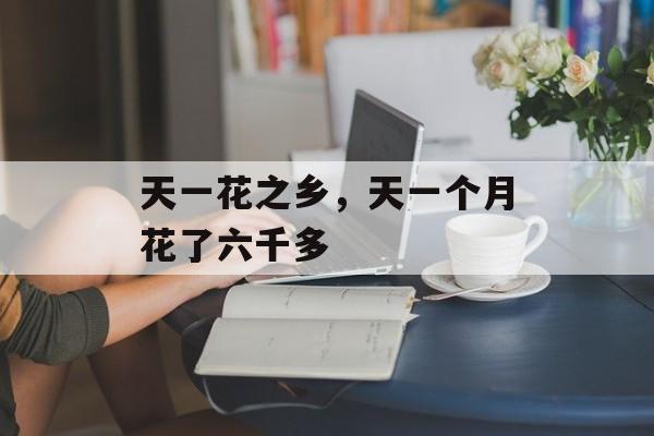 天一花之乡，天一个月花了六千多-第1张图片-