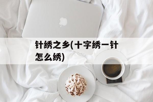 针绣之乡(十字绣一针怎么绣)-第1张图片-