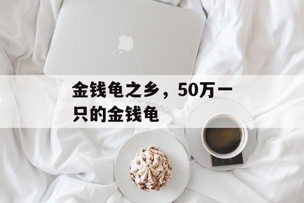 金钱龟之乡，50万一只的金钱龟-第1张图片-