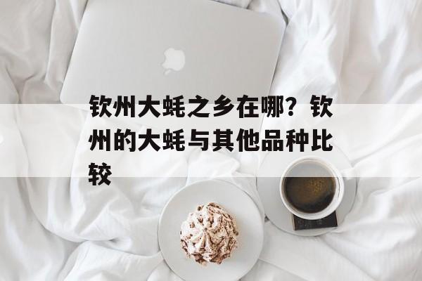 钦州大蚝之乡在哪？钦州的大蚝与其他品种比较-第1张图片-