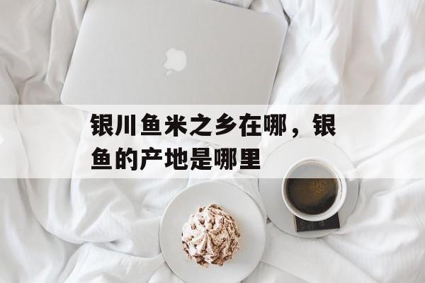 银川鱼米之乡在哪，银鱼的产地是哪里-第1张图片-