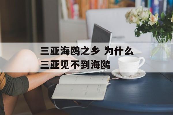 三亚海鸥之乡 为什么三亚见不到海鸥-第1张图片-