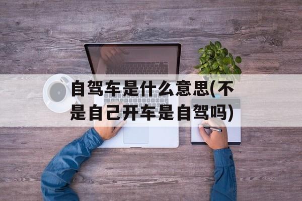 自驾车是什么意思(不是自己开车是自驾吗)-第1张图片-